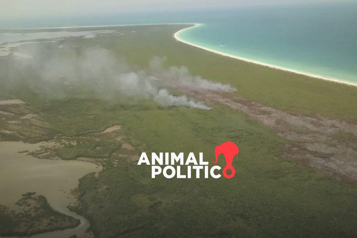 Quedarán 91 Áreas Naturales Protegidas sin plan de conservación si Congreso de la Unión aprueba el proyecto de Presupuesto 2026