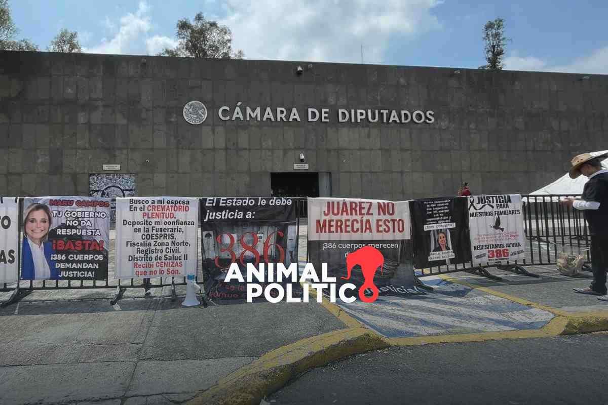 “¡El gobierno estatal no responde!”: familiares de víctimas del Crematorio Plenitud protestan en CDMX