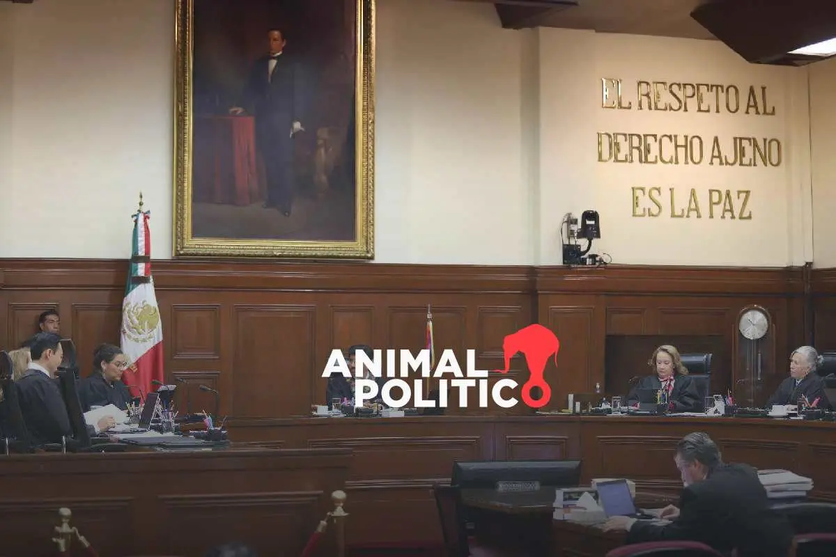 Caso Digna Ochoa: las presuntas omisiones cometidas por el exfiscal que ahora trabaja en la Suprema Corte