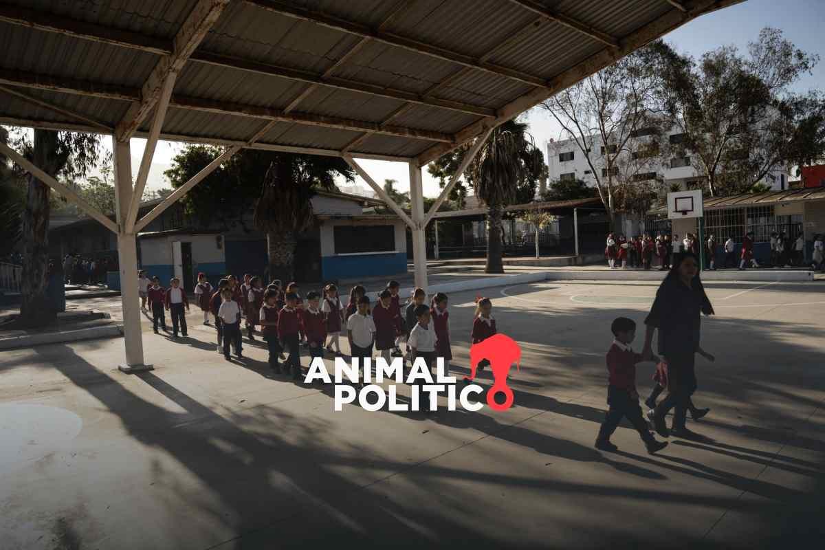 Lenguaje inclusivo: PAN presume prohibición en Chihuahua, solo fue exhorto para fomentar uso de reglas del español