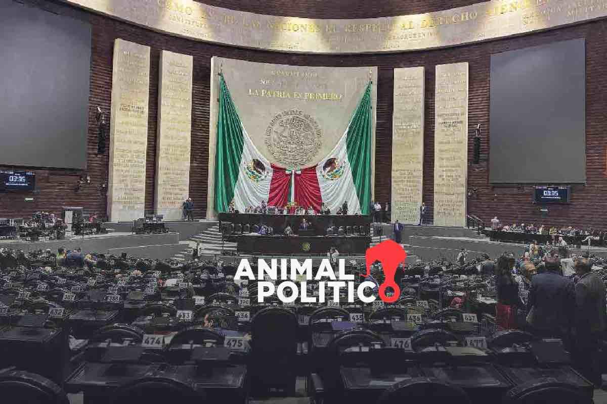 Diputados suman cinco años con trabajo semipresencial; sesiones lucen vacías hasta en las reformas más importantes