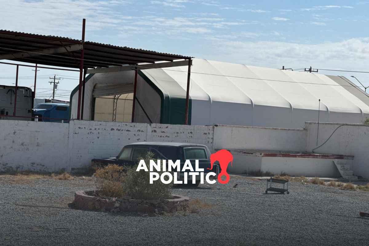 Muere empleado del crematorio Plenitud en Ciudad Juárez, detenido desde junio, tras el hallazgo de 386 cuerpos sin incinerar