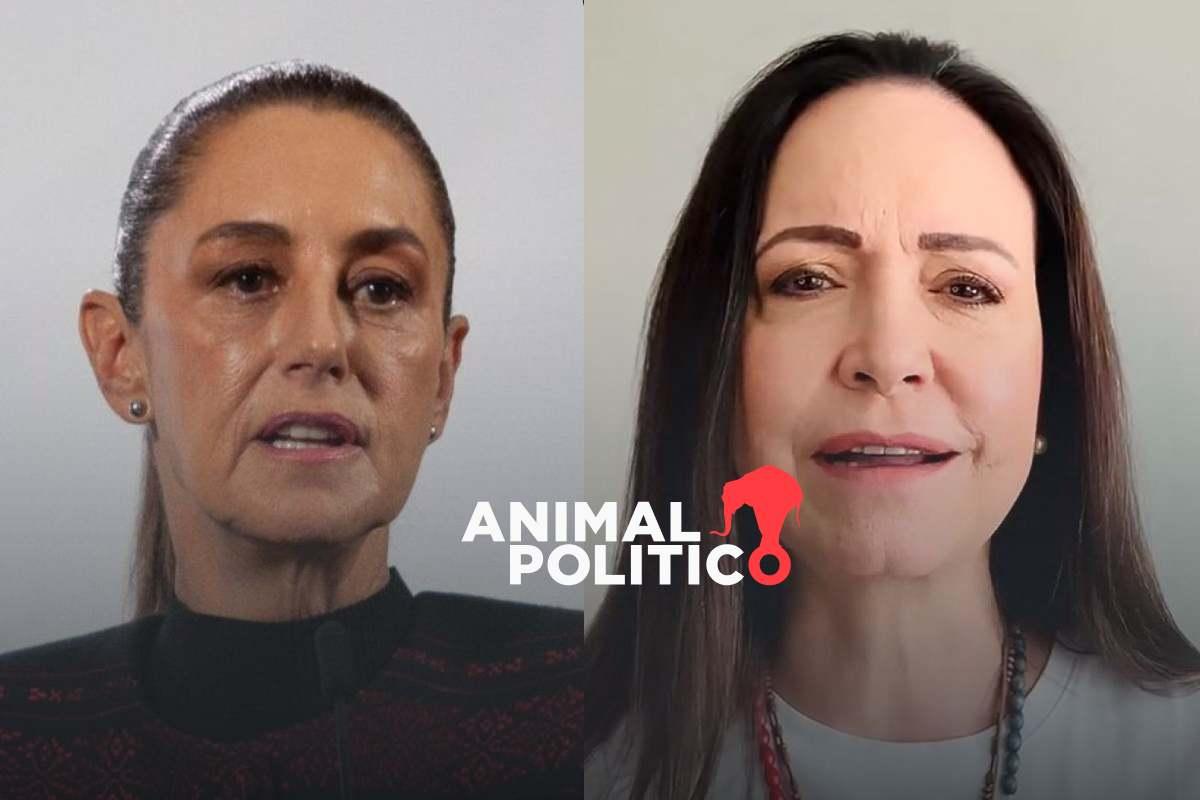 Sheinbaum evita felicitar a María Corina Machado por Premio Nobel de la Paz; “siempre hemos hablado de la soberanía”, dice