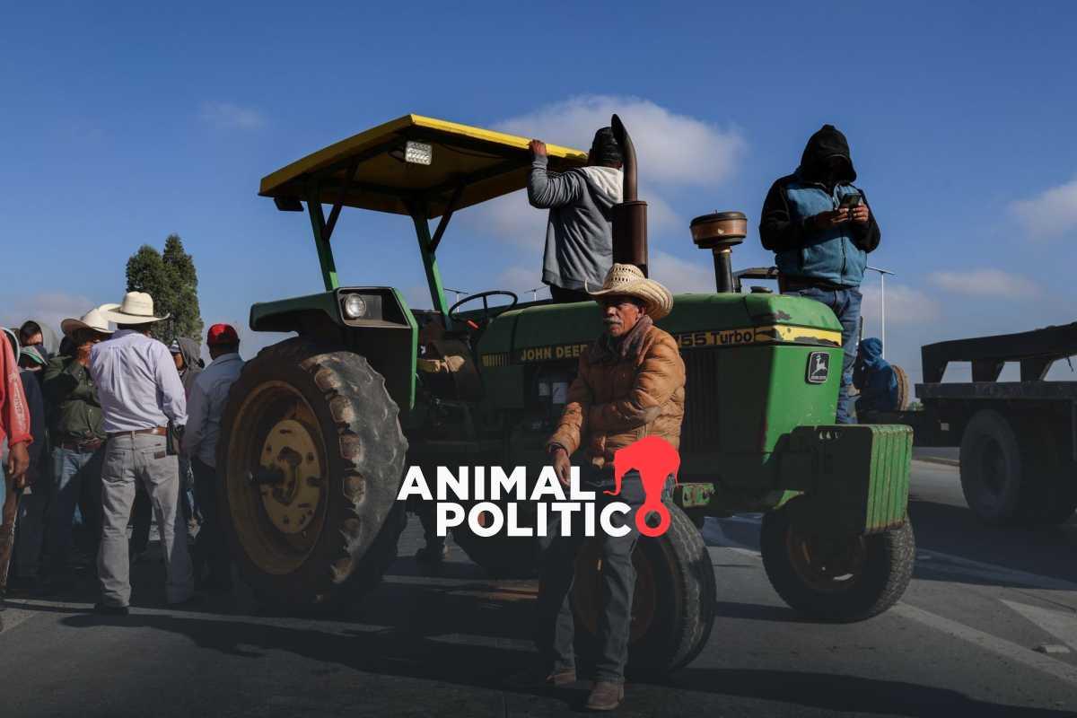 Agricultores rechazan precio que fijó el gobierno por tonelada de maíz; anuncian bloqueos