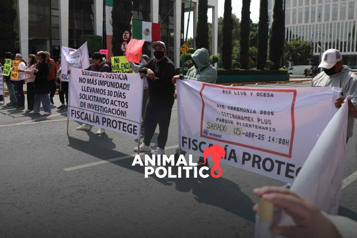 Otorgan amparo a familia de la fotoperiodista Citlali Berenice; ordenan revisar investigación por muertes en Axe Ceremonia