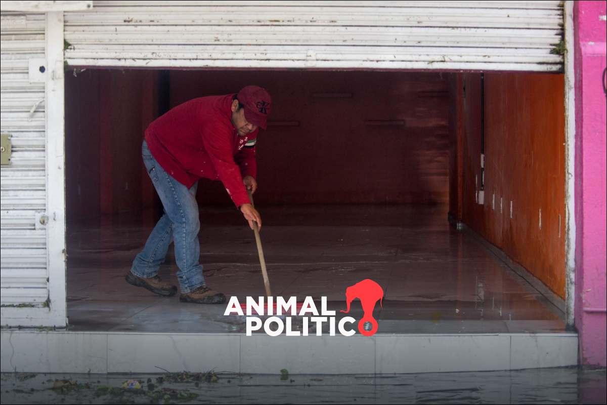 ¿Tienes un emprendimiento? CDMX otorgará capital semilla de 25 mil pesos y créditos de hasta 100 mil