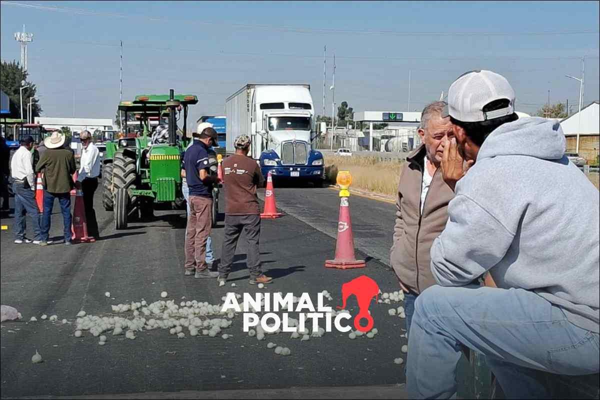 Bloqueos de agricultores continúan afectando carreteras y casetas en tres estados del país, informa la SICT