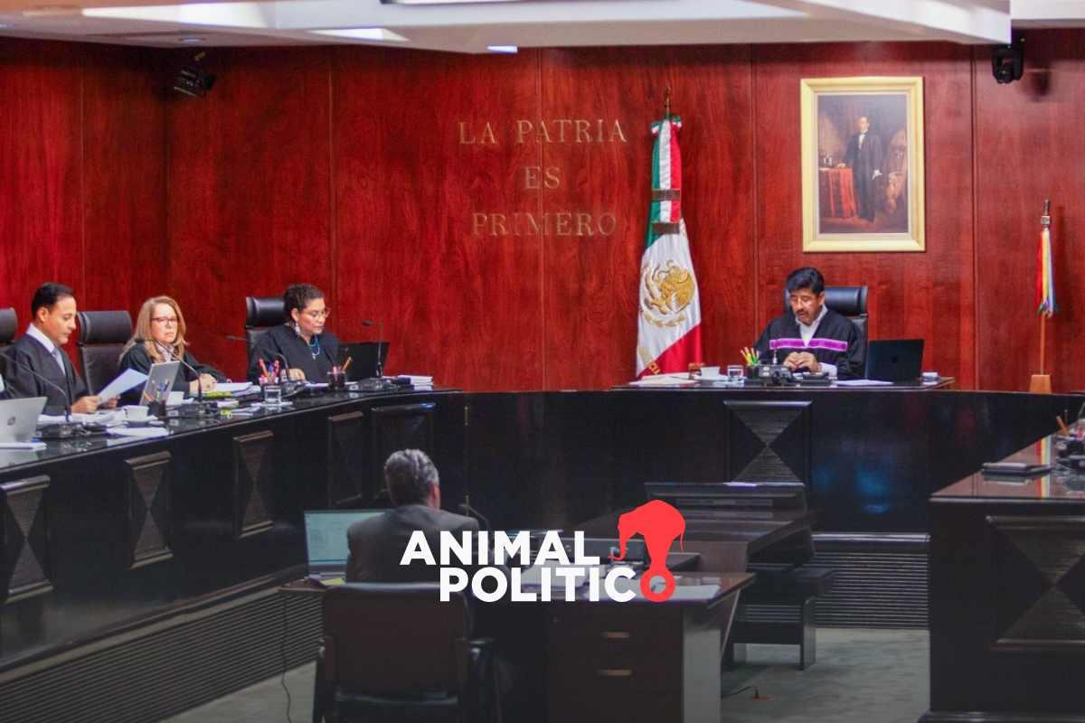 Tras críticas, Corte pospone debate de proyectos sobre indemnizaciones y derechos colectivos de Batres y Esquivel