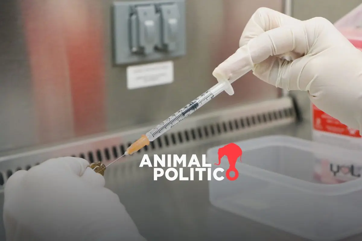 Diagnóstico tardío en 40 % de los casos de VIH; Red de Respuesta busca cerrar brecha en prevención y atención