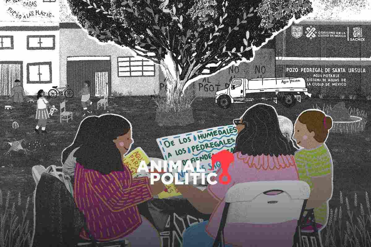 Las detectives que devolvieron el agua a los Pedregales de Coyoacán