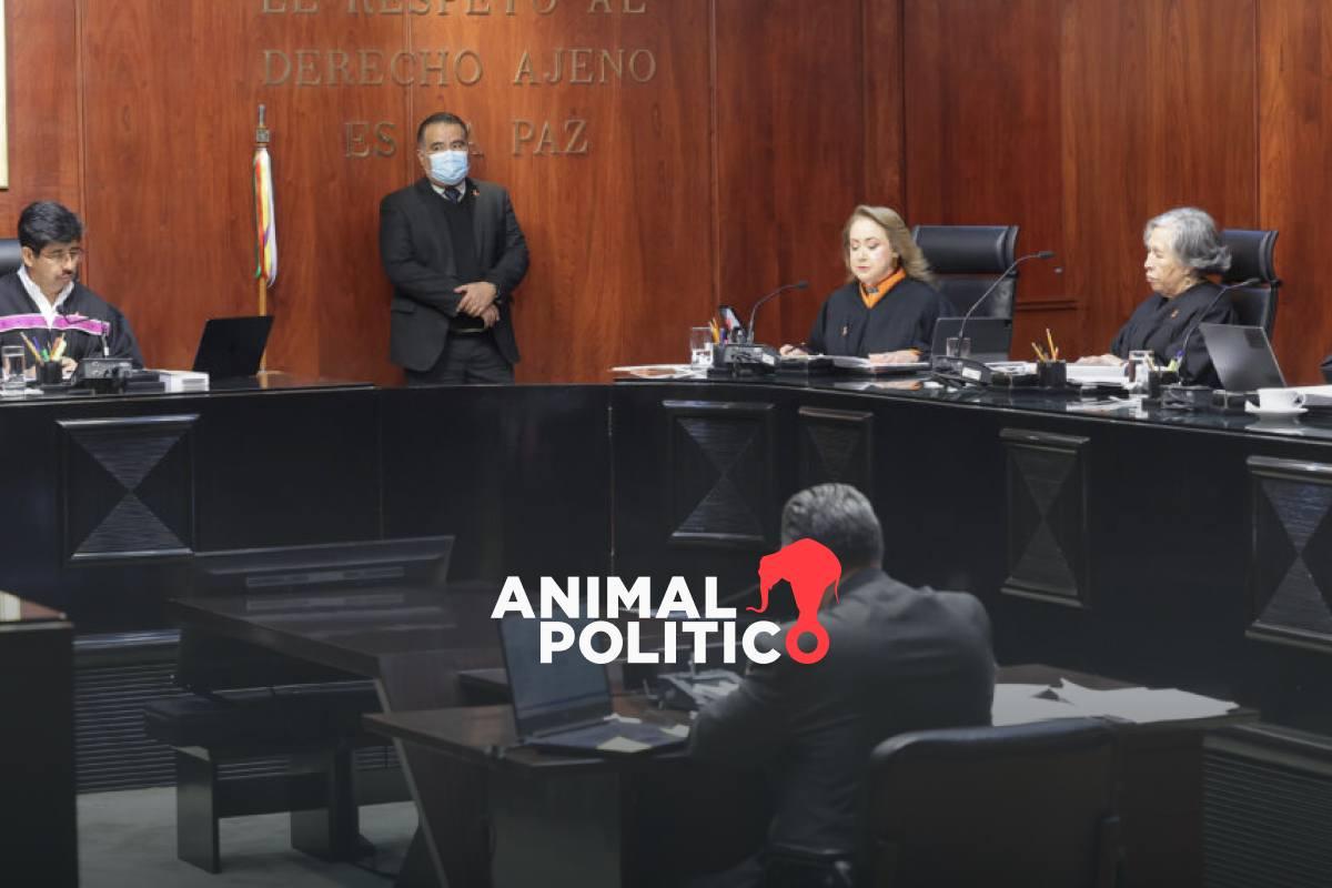 Organizaciones solicitan a la Corte audiencia pública ante nuevo riesgo para defensa de derechos colectivos y ambientales