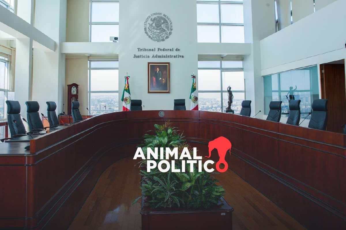 Senado alista ratificación de perfiles cercanos a Morena en el Tribunal Federal de Justicia Administrativa