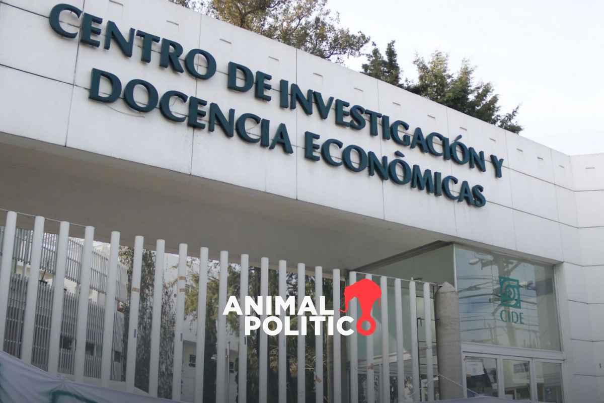 Investigadoras acusan “acción intimidatoria” del director del CIDE tras denunciar por “daño moral” a profesora