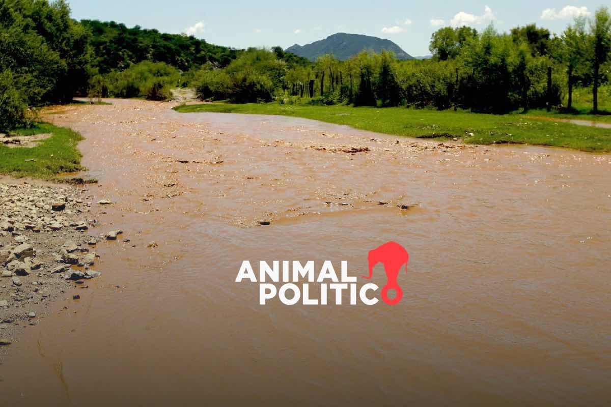 Comités de Cuenca Río Sonora llevan su caso ante la UE y exigen derecho a la salud tras derrame tóxico de Grupo México