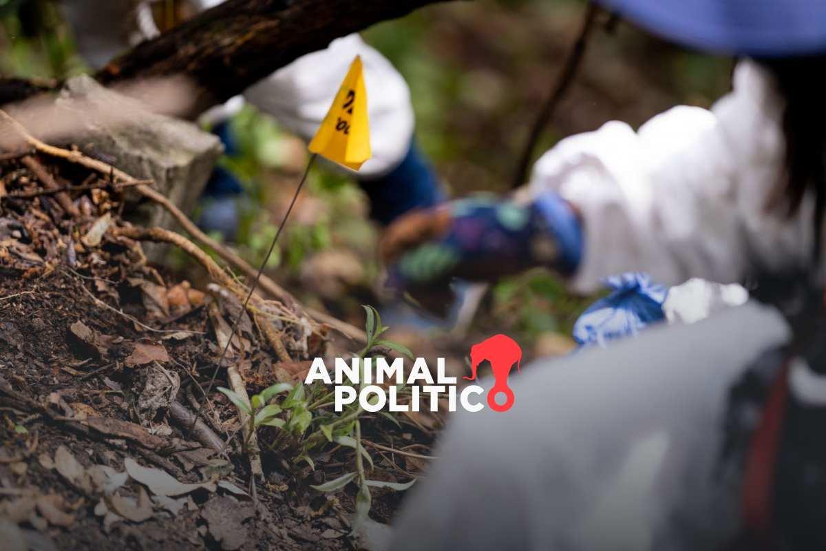 2025 cierra con más de 2 mil personas desaparecidas en CDMX; avanza análisis de hallazgos en GAM, Ajusco y Panteón de Dolores