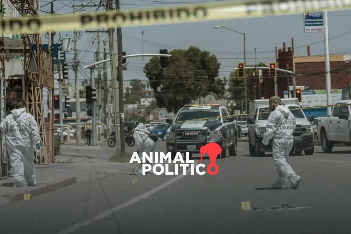 Asesinan a 336 policías en el año; Sinaloa desplaza a Guanajuato como el estado más letal para agentes