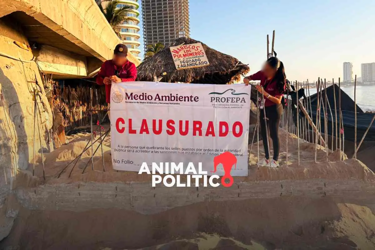 Ciudadanos denuncian construcción irregular en playa de Mazatlán; Profepa la clausura por violar permisos ambientales