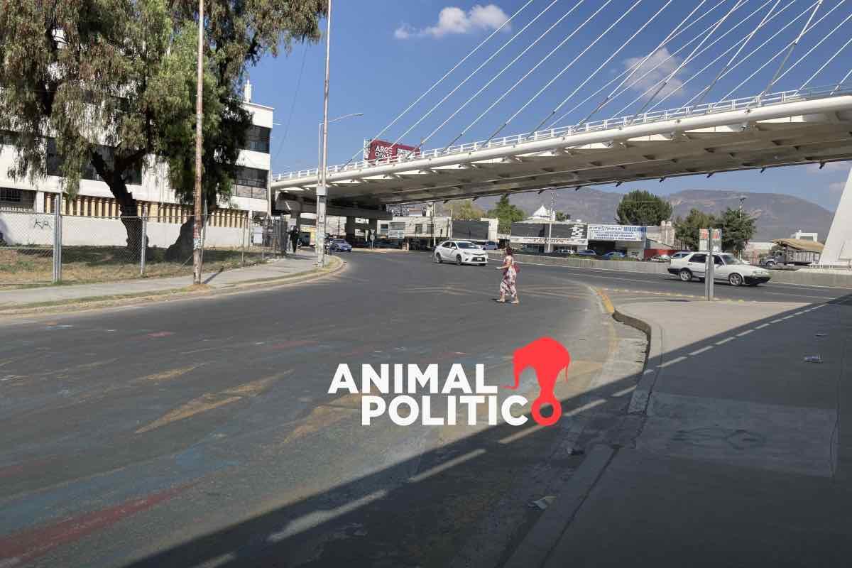 Glorieta 24 Horas en Hidalgo gana antipremio a peor proyecto de movilidad; fue “un capricho”, señala especialista