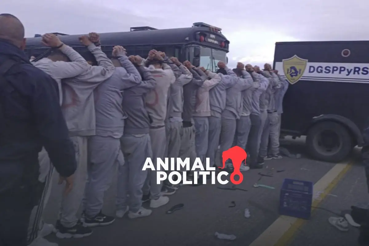 Hacinamiento carcelario en México: Nayarit y Estado de México, en alerta roja por sobrepoblación penitenciaria