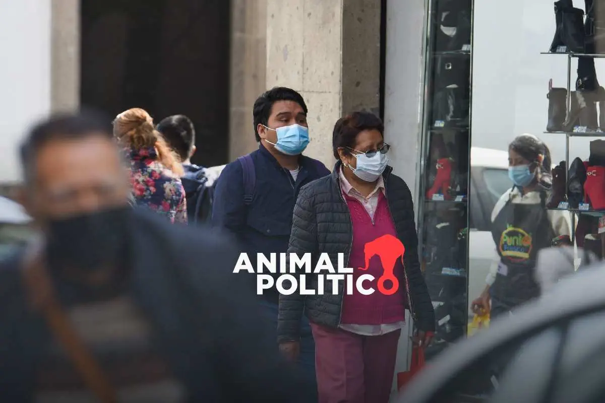 Confirman primer caso de influenza H3N2 subclado K en México, en medio del incremento de casos en EU y Europa