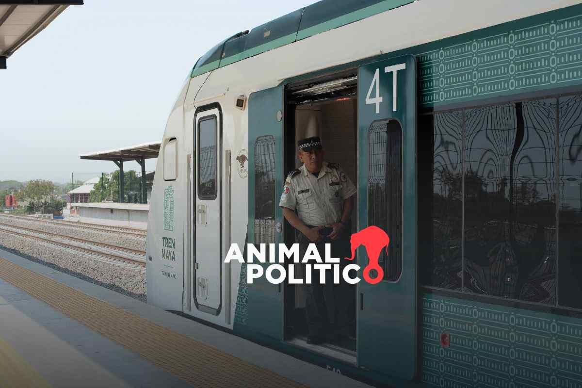 Tren Maya: comunidades y colectivos exigen planes concretos de restauración ante impactos del megaproyecto