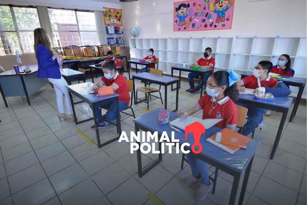 México termina 2025 con crisis educativa por falta de evaluación y decisiones partidistas, alertan especialistas