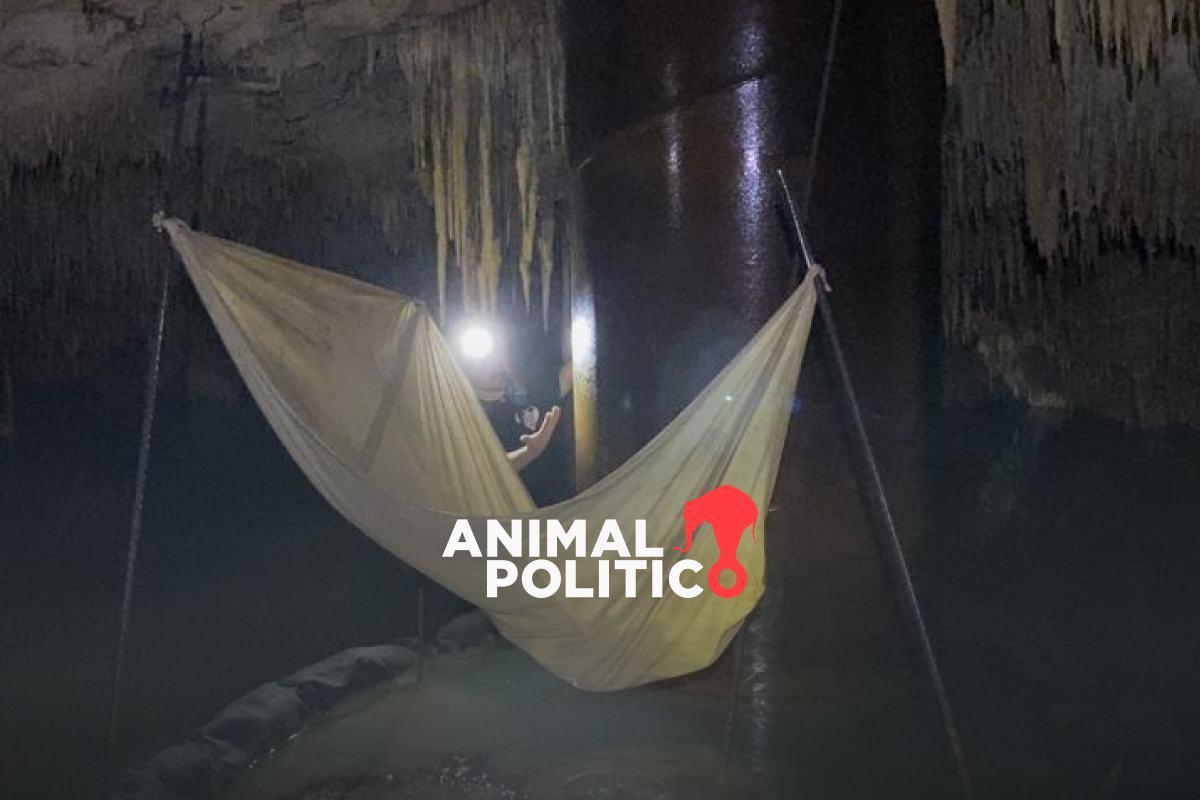 Tren Maya: el poder que AMLO dio a la Sedena para controlar y vigilar los tramos 5, 6 y 7