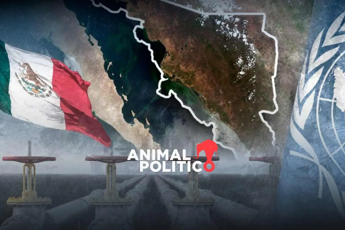 ONU alerta a México por megaproyectos de gas en Sonora y Sinaloa: podrían dañar al Golfo de California; expertos piden cancelarlos
