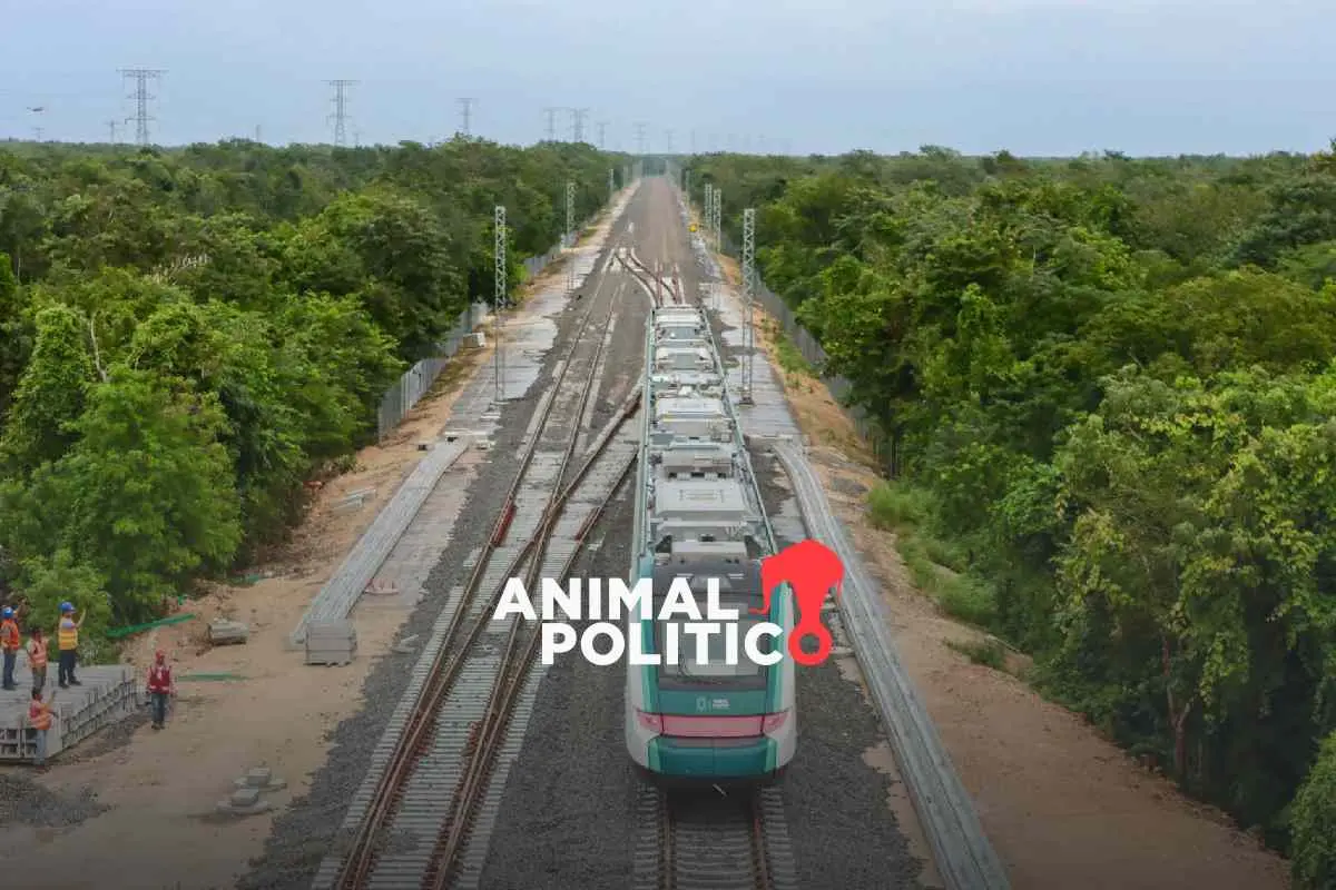 Para obras del Tren Maya, expropian por 7 mil pesos parte del ejido “Yaxché” de Yucatán