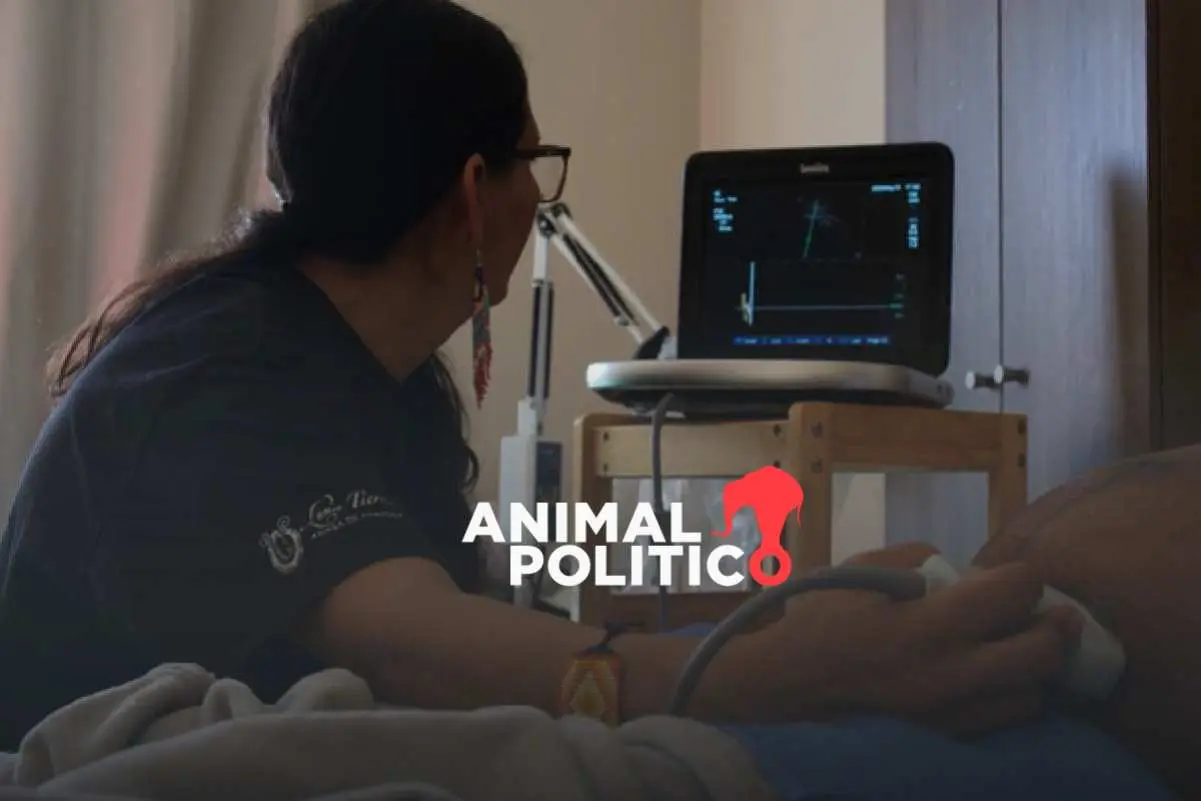 Con medicinas ancestrales, parteras crean resistencia y reciben a bebés de madres que migran en la frontera