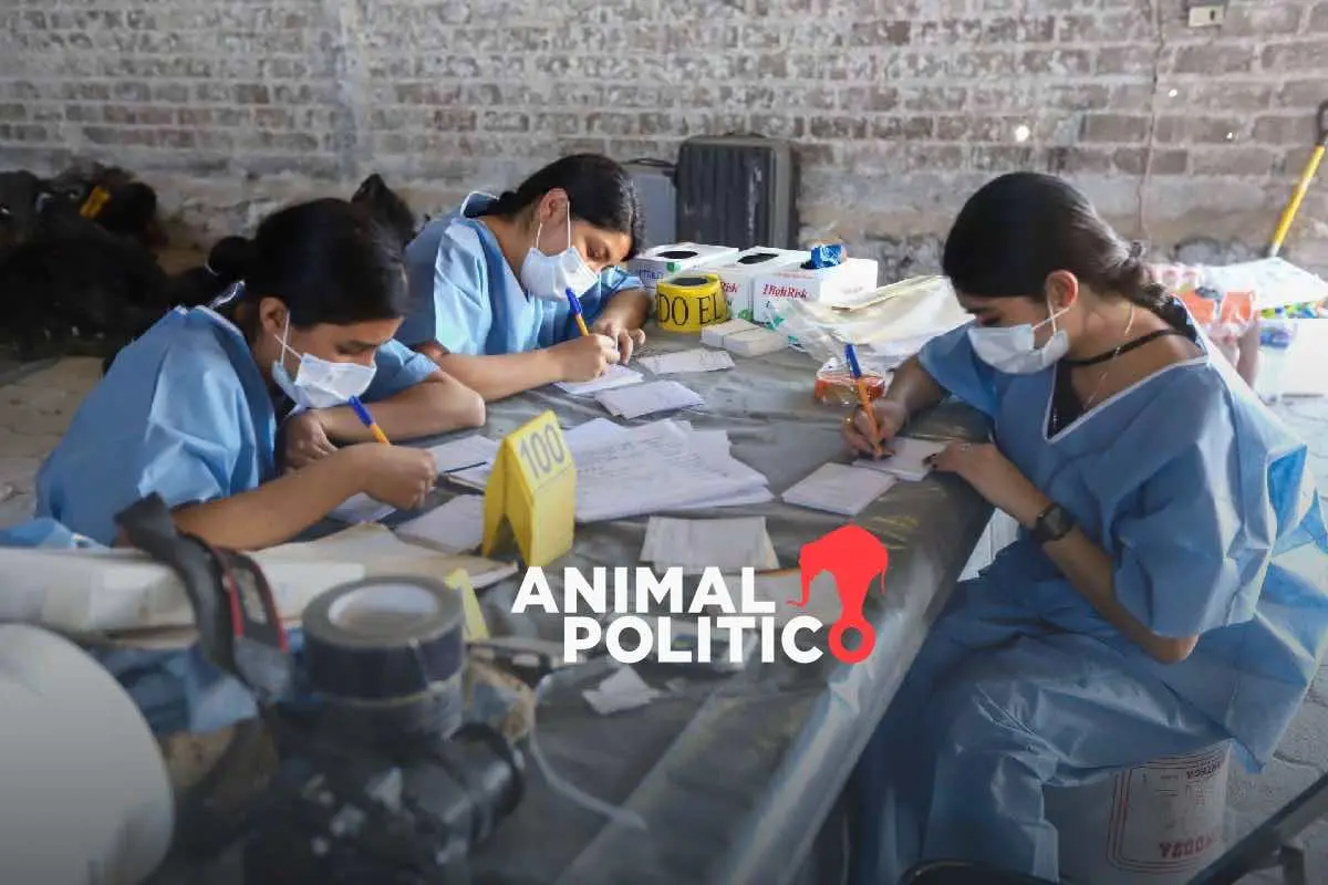 Pese a crisis, gobierno destinó 0.036 % del presupuesto 2024 para atención forense y desapariciones