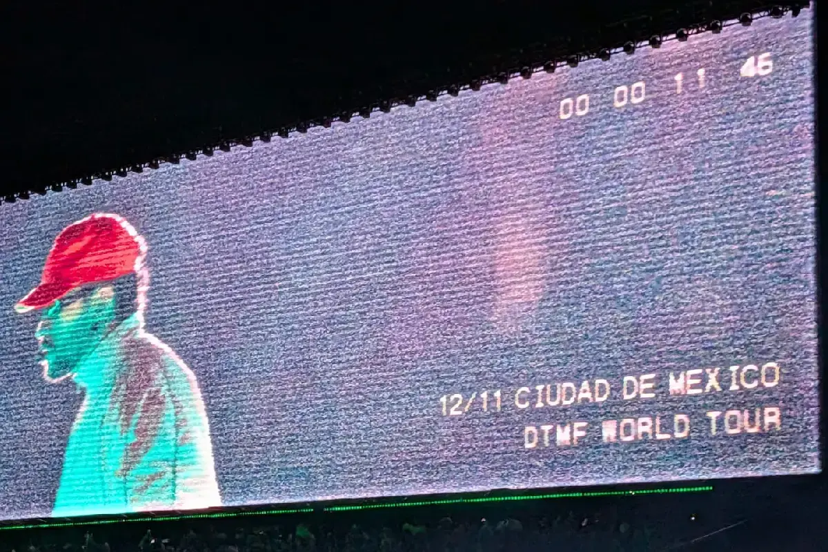 No era fan de Bad Bunny… lo vi en vivo y así me dejó