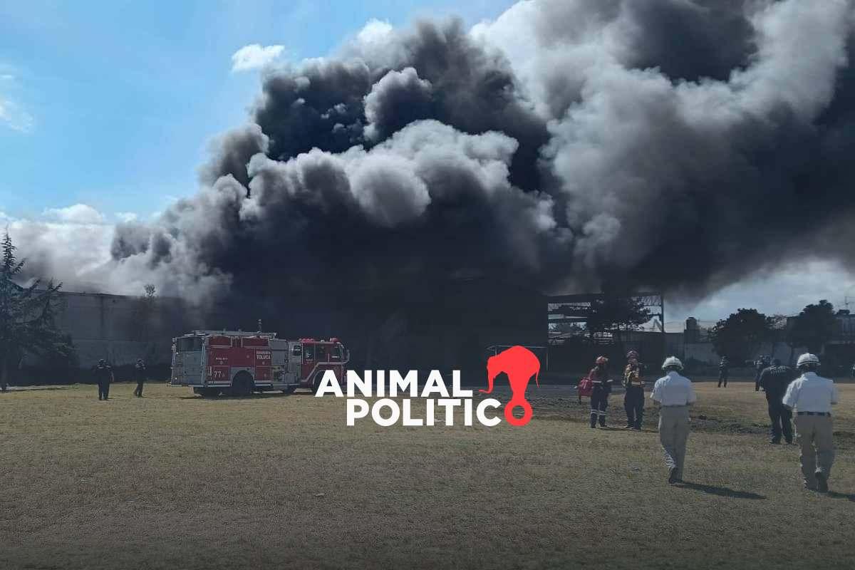 Recuperan 7 de 10 cuerpos de víctimas de la caída de avioneta en Toluca; FGR debe investigar, dice Sheinbaum