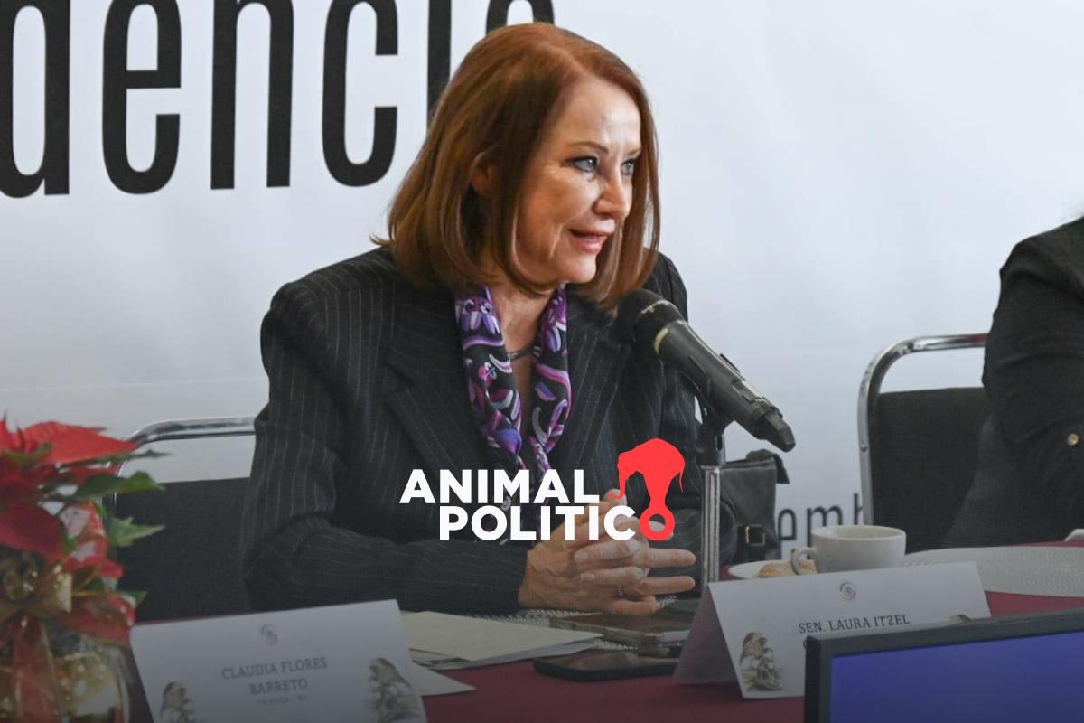 Reforma electoral es el “platillo fuerte” de 2026, dice presidenta del Senado; pide garantizar representación de minorías