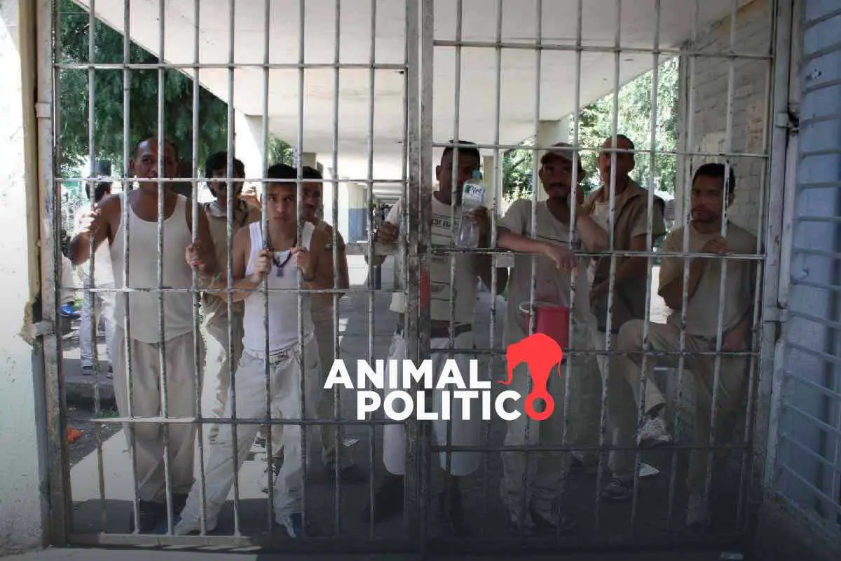 Sheinbaum rompe récord histórico de personas privadas de la libertad en México; el 92 %, en prisión preventiva