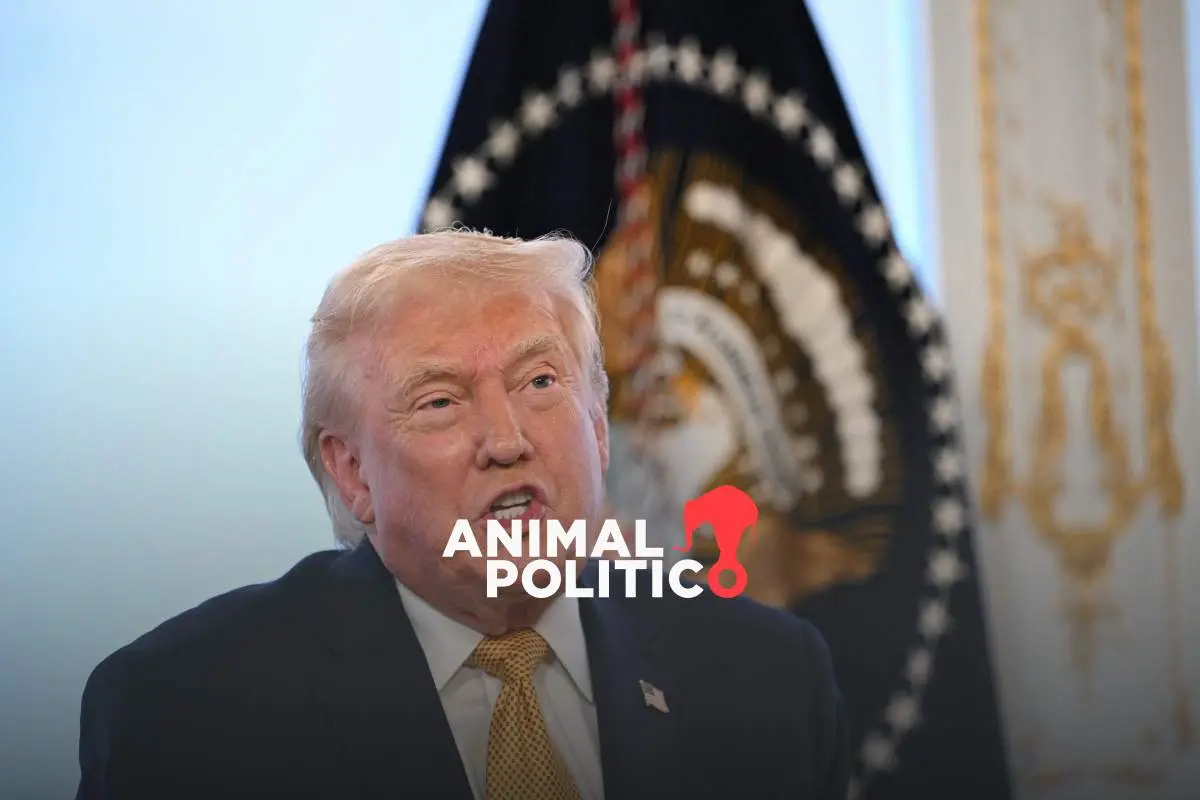 Trump dice que EU lanzó “numerosos” ataques contra el Estado Islámico en Nigeria