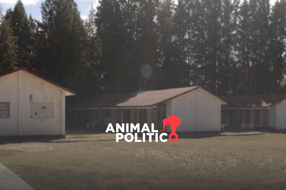 Universidad Rosario Castellanos inicia clases en Michoacán en 2026; estas son las fechas clave