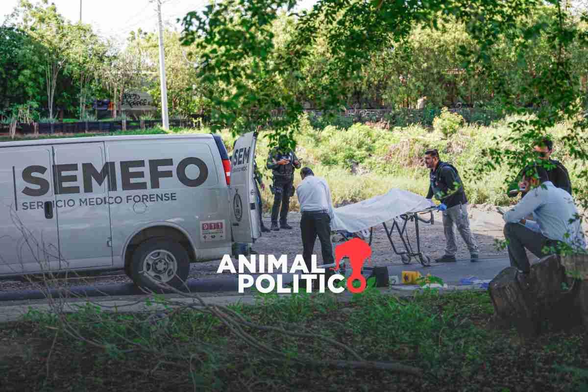 Violencia letal crece en México y se concentra en cinco puntos rojos, señala informe