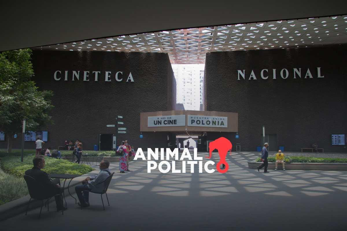 Posada disidente: colectivos protestan con cortometrajes, piñatas y tianguis en la Cineteca Nacional