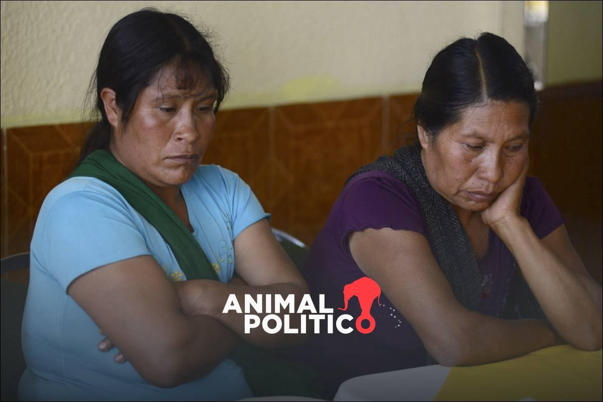 Corte IDH declara a México responsable por violación, tortura y muerte de Ernestina Ascencio a manos del Ejército