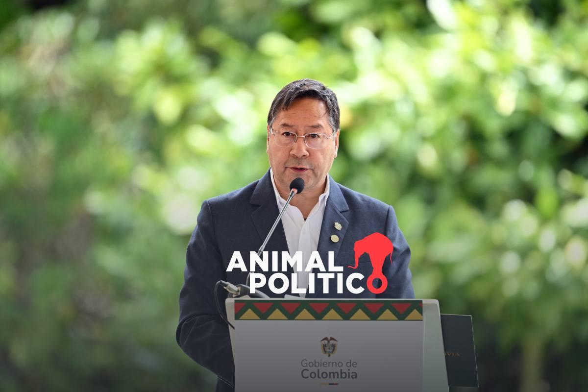 Ordenan cinco meses de prisión preventiva contra el expresidente de Bolivia, Luis Arce