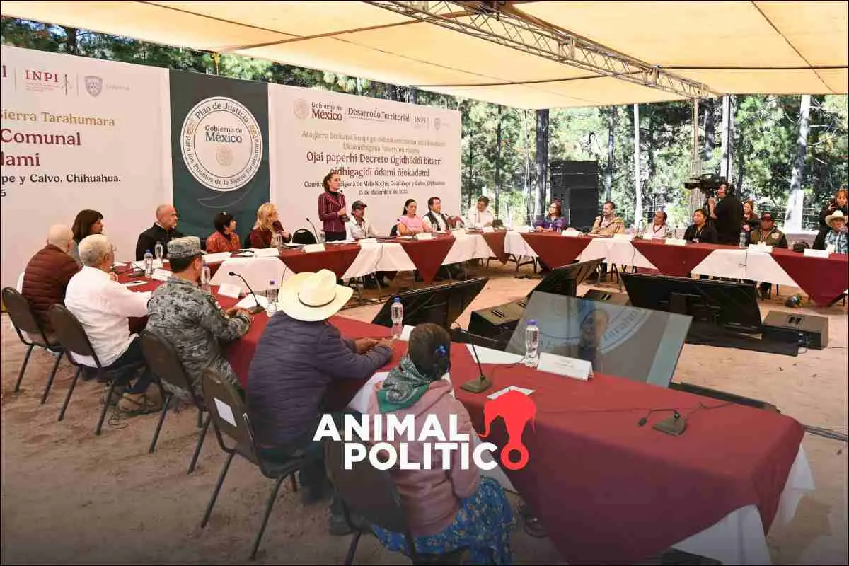 En Guadalupe y Calvo, parte del Triángulo Dorado, Sheinbaum promete más presencia de la Guardia Nacional