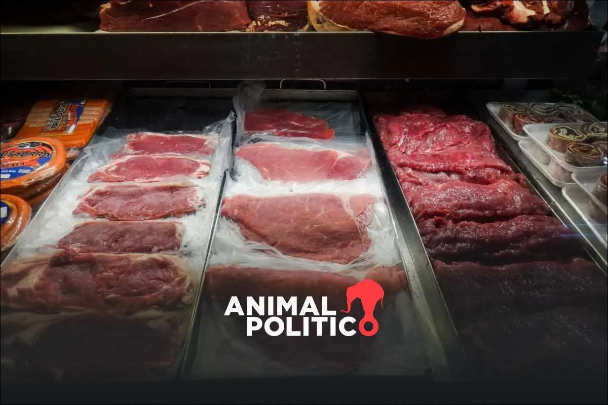 Pobreza por ingresos en zonas urbanas repunta en noviembre por el alza de comidas fuera de casa, bistec y leche