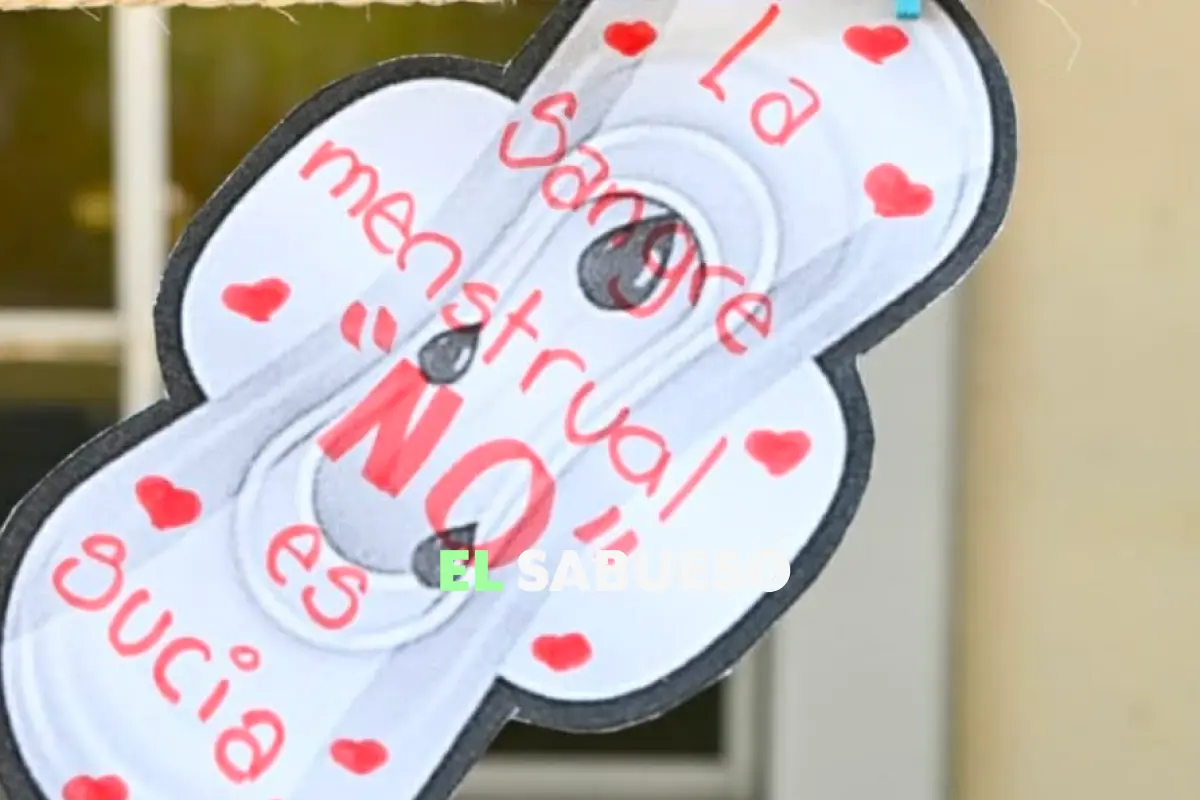 Menstruación Digna: ¿en qué consiste la estrategia nacional del gobierno de Sheinbaum para estudiantes?