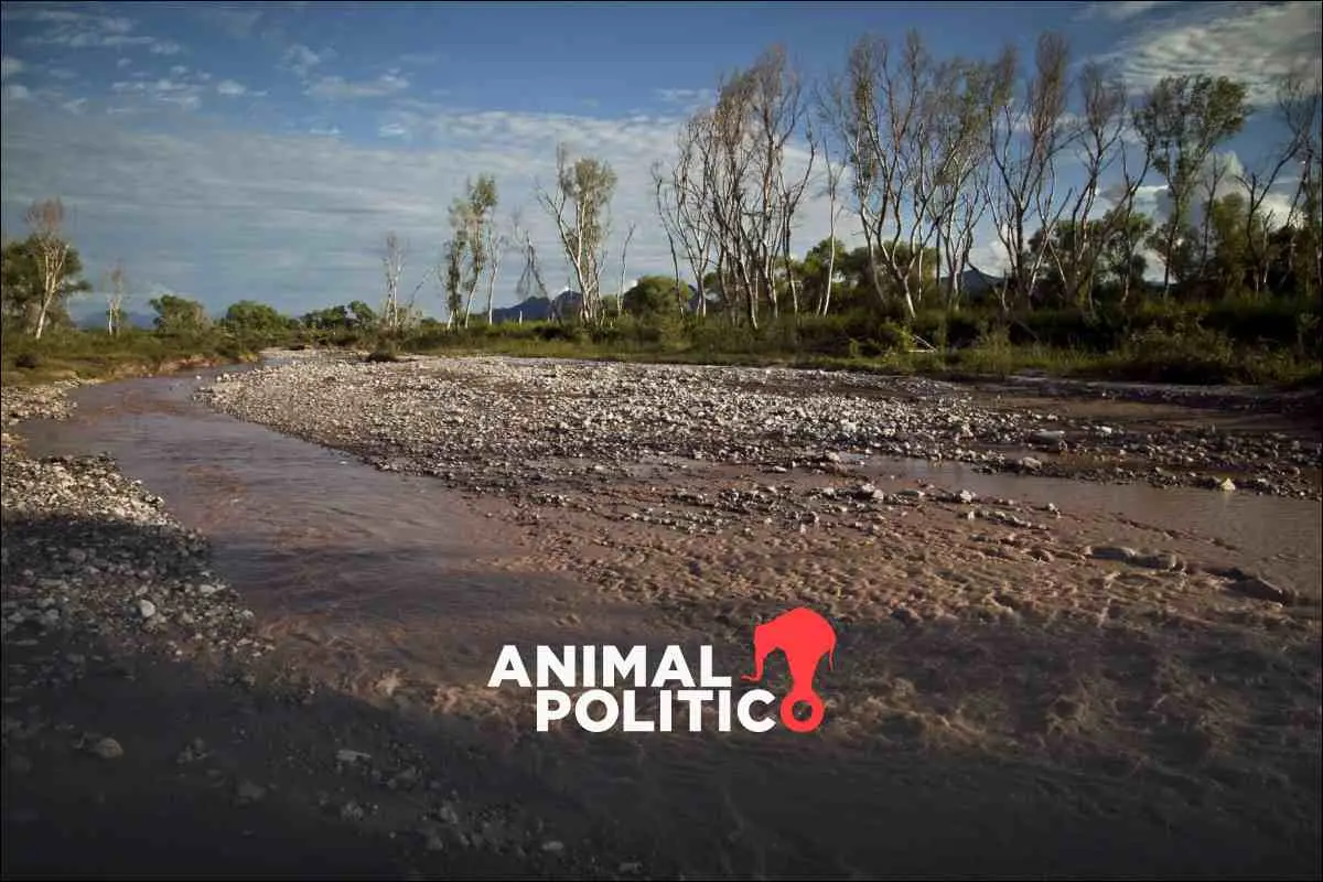 Plan Integral de Justicia Ambiental y Social: más de 2 mil mdp para remediar el Río Sonora, a 11 años del derrame de Grupo México
