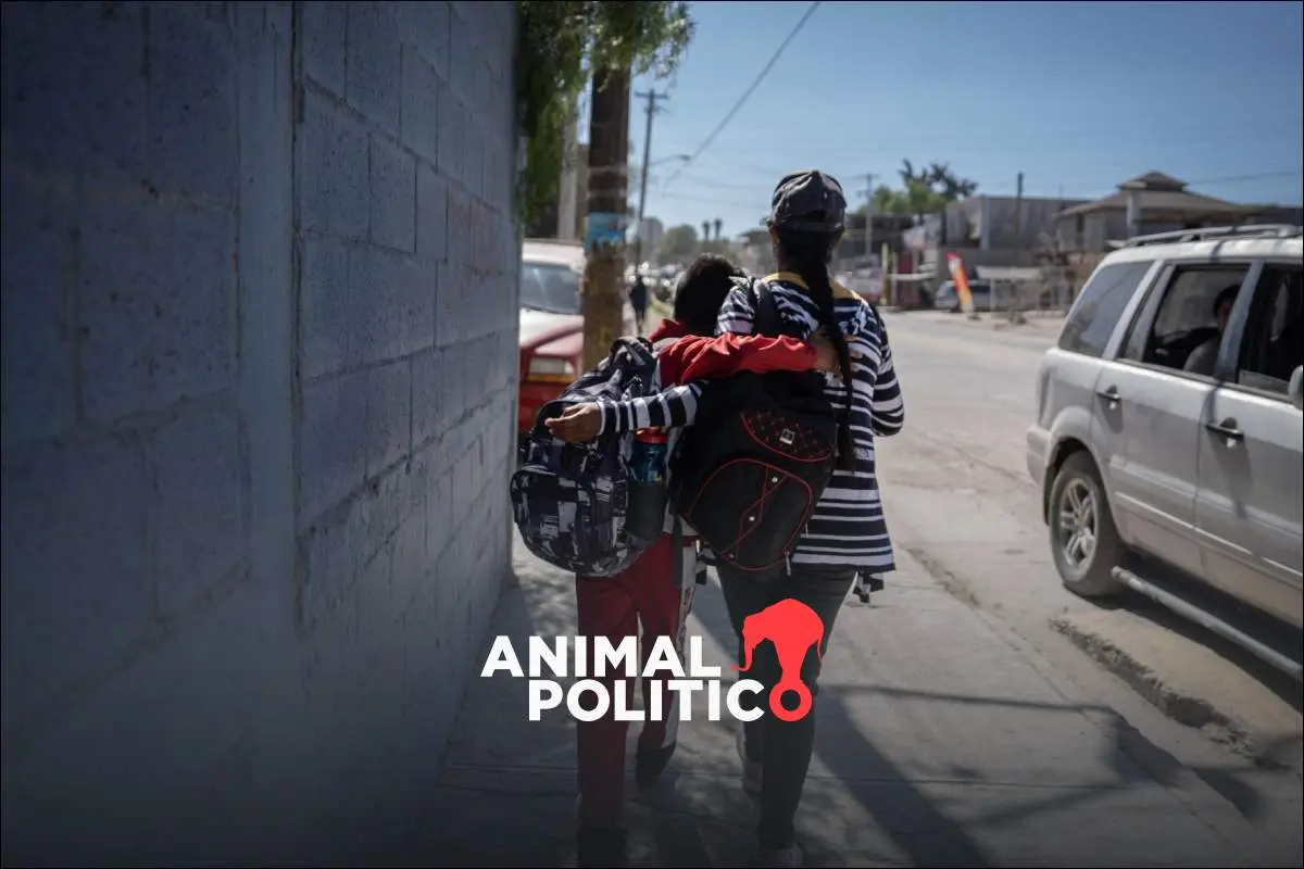 Al menos 28 niñas, niños y adolescentes fueron reclutados por la delincuencia en Guanajuato en 2024: Redim