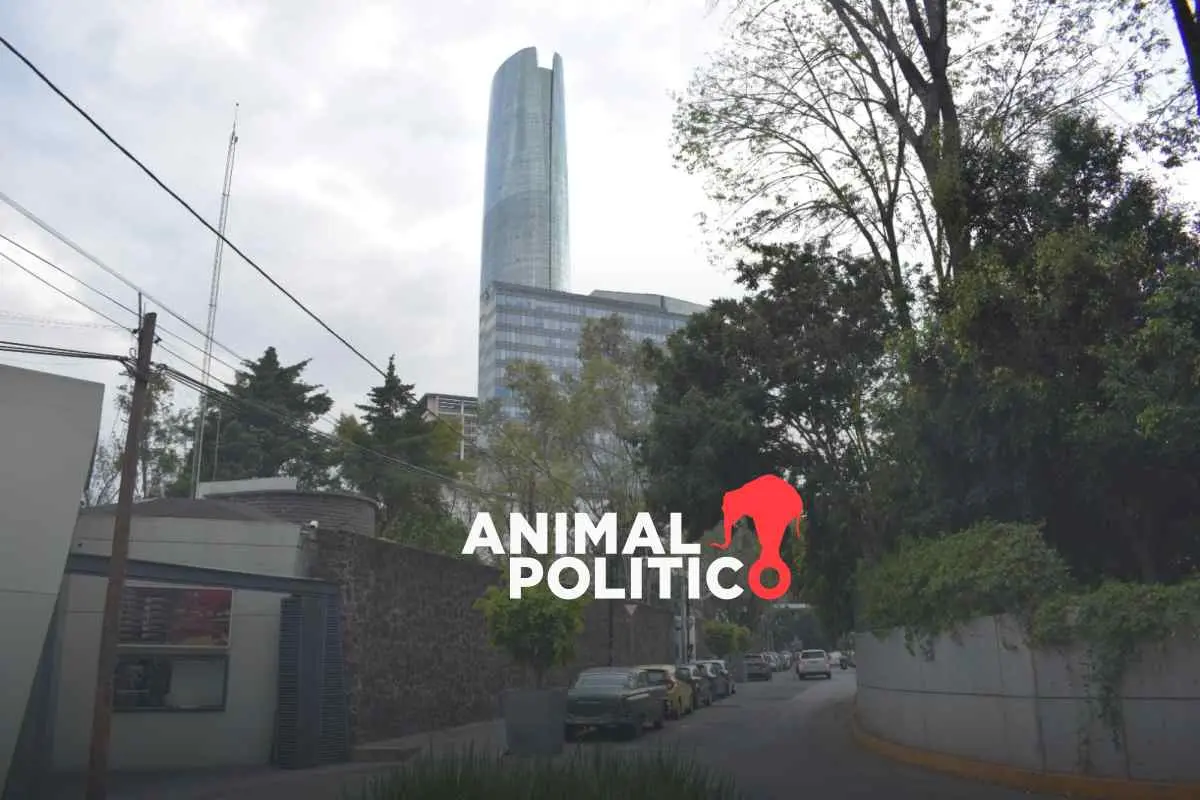 Xoco bajo asedio: el testimonio de un pueblo originario frente a la gentrificación y la violencia institucional