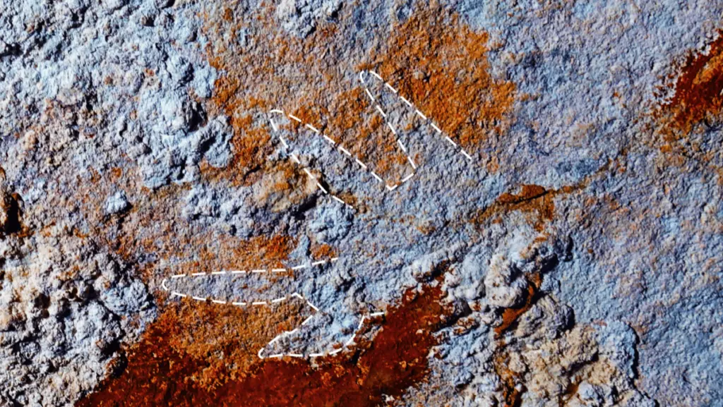 Descubren una mano pintada hace 67 mil años: el arte rupestre más antiguo del mundo