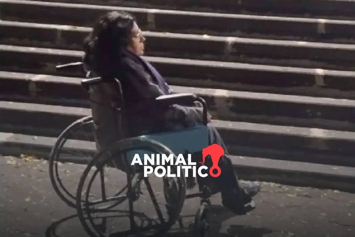 A falta de justicia, solidaridad: Colecta ciudadana está por lograr la meta para darle una nueva silla de ruedas a Sandra