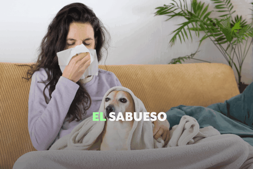 No es gripe, es alergia estacional: ¿por qué en invierno se disparan las alergias?